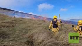 حرائق الغابات في الإكوادور تصل إلى ضواحي العاصمة كيتو