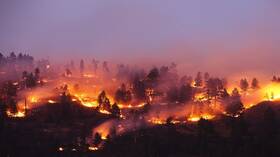 إجلاء أكثر من 5 آلاف شخص في كاليفورنيا الأمريكية بسبب حرائق الغابات الشديدة