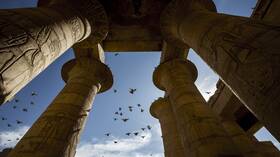 مصر.. كسر أنف تمثال رمسيس الثاني بـ"ميت رهينة" والآثار ترد (صور)