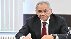 شويغو: ممثلو "بريكس" سيناقشون المبادرات حول أوكرانيا