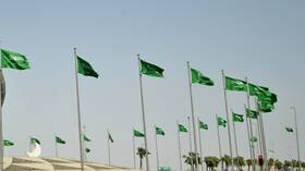 بين طلب العفو عنه والتذكير بتصريح بن سلمان.. إدانة الفريق أول خالد الحربي تثير تفاعلا (فيديو)