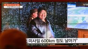 "ناشيونال إنترست": هاريس ستواجهة معضلة كبيرة إن وصلت للرئاسة