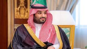 أمير سعودي يعلق على قرار لبن سلمان يخص مصر