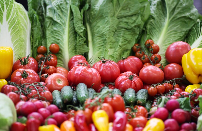 ارتفاع صادرات كراسنودار الروسية إلى ليبيا ودول إفريقية أخرى