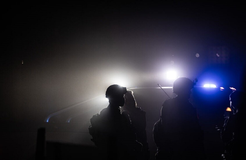 الخنازير البرية تدب الرعب في قلوب الجنود والمستوطنين شمال إسرائيل