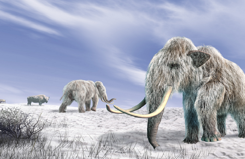 بدعم من المشاهير.. خبراء يتوقعون عودة أنواع منقرضة من الحيوانات!