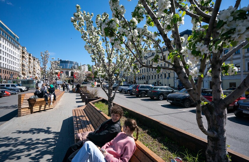 بولفارات موسكو ( شوارع موسكو المشجرة )