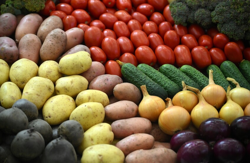 سوريا.. الصادرات الزراعية معفاة من الرسوم المرفئية بنسبة 75%