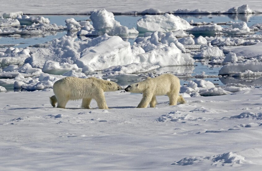 العلماء الروس يدحضون الاتهامات بإخفاء البيانات المتعلقة بتغيرات المناخ