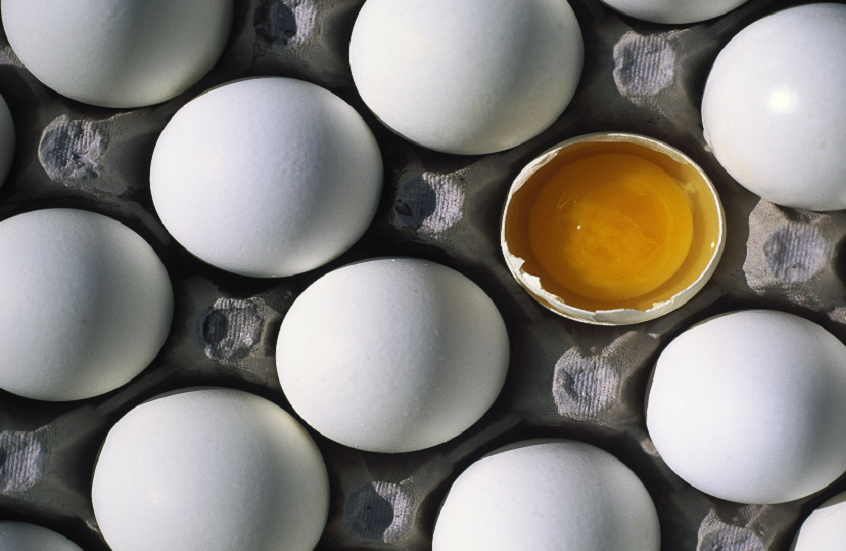 من الفوائد الغذائية إلى طرق التخزين!.. كل ما يجب معرفته عن البيض