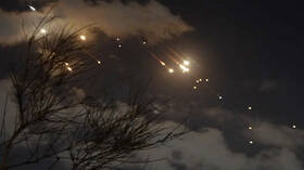 برلين.. متظاهرون مؤيدون لفلسطين يحتفلون بالضربة الإيرانية لإسرائيل