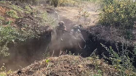 بولندا: لم نتمكن من تجنيد اللاجئين الأوكرانيين للقتال في بلادهم