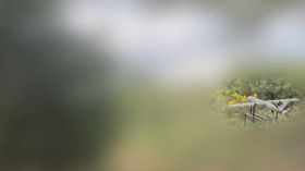 حزب الله يستهدف قاعدتي الكرمل و"7200" جنوب مدينة حيفا بالصواريخ والمسيرات الانقضاضية (فيديو)