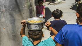 الولايات المتحدة.. وزيرا الدفاع والخارجية يلوحان بوقف إمداد إسرائيل بالأسلحة