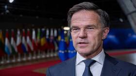 أمين عام الناتو ينفي صحة تقارير تزعم أن قوات من كوريا الشمالية تشارك في الصراع بأوكرانيا