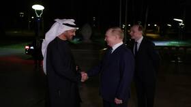 بوتين: العلاقات بين روسيا والإمارات ترقى لمستوى الشراكة الاستراتيجية