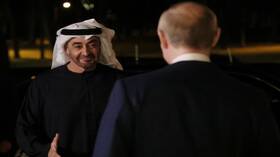 الرئيس الإماراتي لبوتين: عازمون على تطوير العلاقات الثنائية بين بلدينا