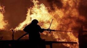 إصابة أكثر من 150 شخصا في انفجار للألعاب النارية خلال مهرجان ديني جنوبي الهند (فيديو)