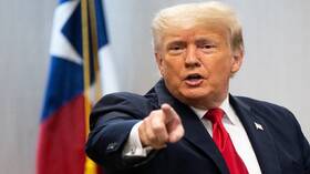 ماسك يراهن ستيفن كينغ على فوز ترامب في الانتخابات