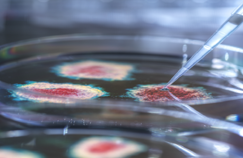 أخصائي مناعة ينصح بأول خطوة عند الإصابة بأعراض فيروس "كوكساكي"