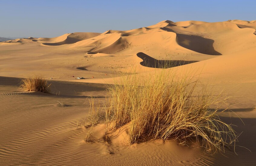 الجزائر.. شاب مستكشف يعلن العثور بمحض الصدفة على قرية مهجورة