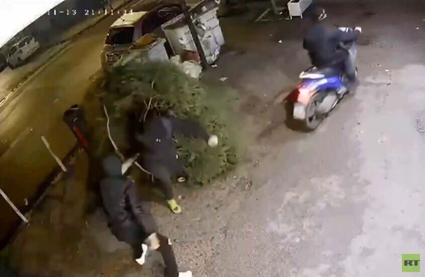 سرقة شجرة تنبوب قبل عيد القديس أنتوني في نابولي الإيطالية