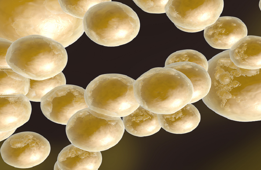 عقاقير إنقاص الوزن.. سلاح ذو حدين!