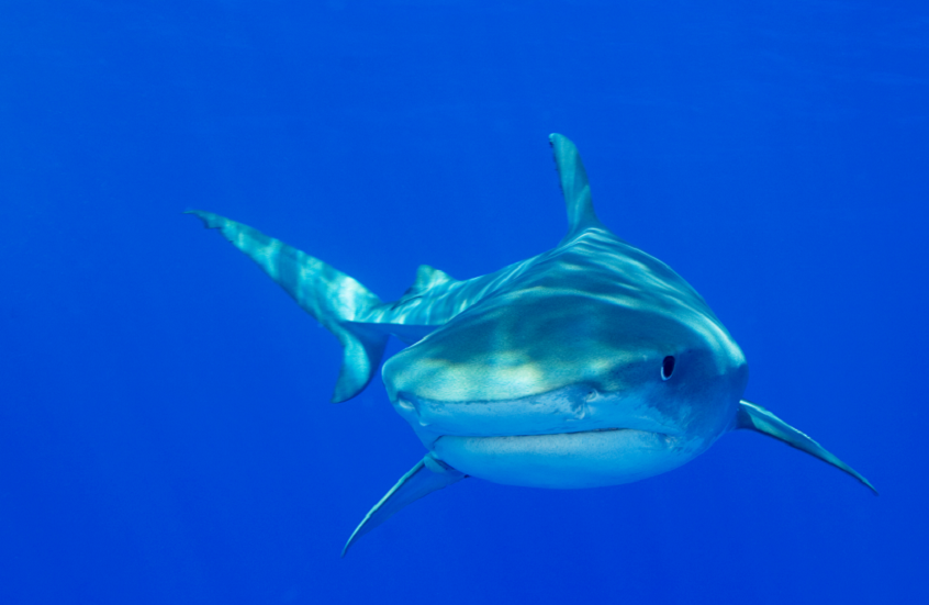 في حادثة غريبة.. 