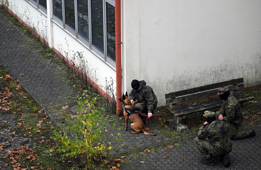 ألمانيا: يمكننا تدريب الجيش الأوكراني على مستوى الكتائب والألوية