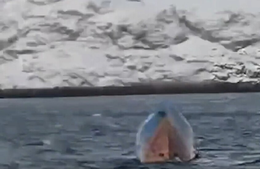 إنقاذ 10 سياح قلبت الريح قاربهم شمال غربي روسيا (فيديو)