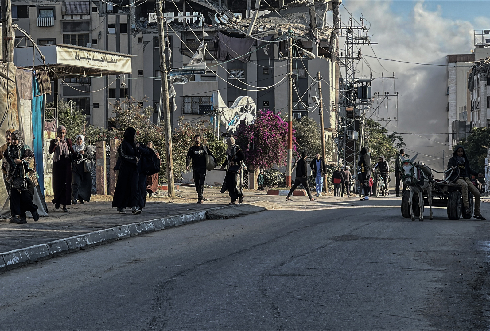 الصحة في غزة: الحرب الإسرائيلية محت 1410 عائلات فلسطينية من السجل المدني