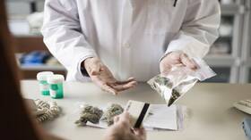 إعلامي شهير يطالب بتقنين الحشيش في مصر