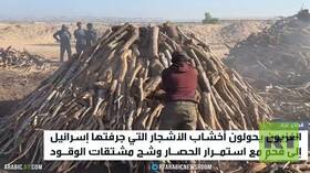 الغزيون يلجؤون للفحم في ظل أزمة الوقود