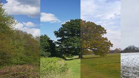 المنظمة العالمية للأرصاد الجوية تدق ناقوس الخطر حول التغيرات المناخية للعام 2024