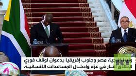 مصر وجنوب إفريقيا تدعوان لوقف النار بغزة