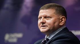 زالوجني: الناتو ليس مستعدا لخوض "حرب استنزاف" مع روسيا