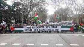 مظاهرات حاشدة في عدد من العواصم الأوروبية دعما للشعب الفلسطيني (فيديو)