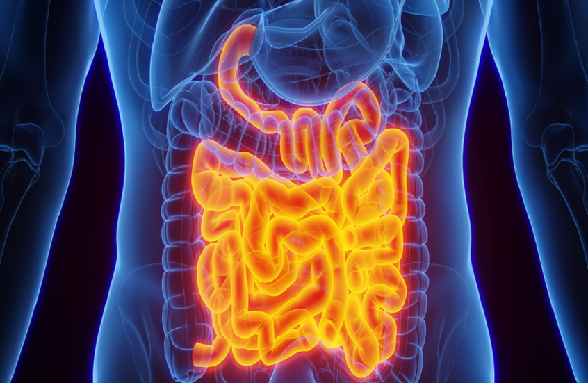 أسرار صحتك العامة تكشفها حركة الأمعاء المنتظمة!