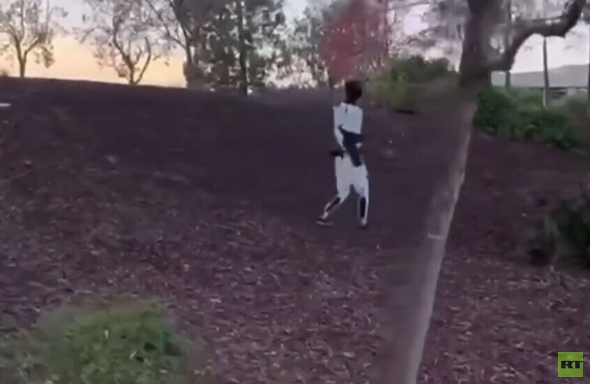 روبوتات "Optimus" من شركة "Tesla" تسير على الأراضي الوعرة