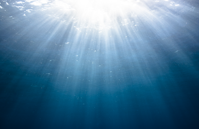 اكتشاف مخلوق مفترس جديد في أعماق البحار