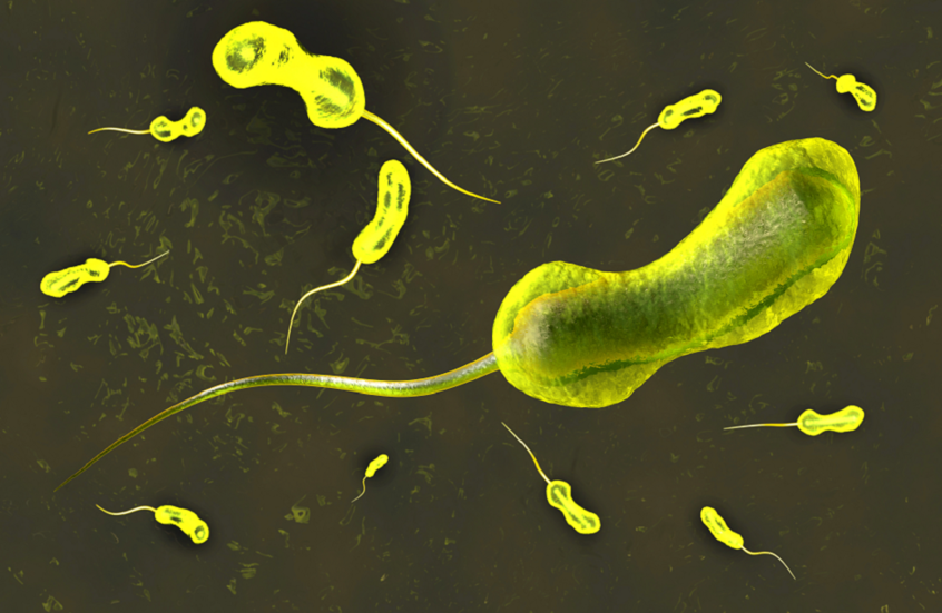 من اليمن إلى جزيرة فرنسية.. انتشار سلالة كوليرا شديدة المقاومة للأدوية