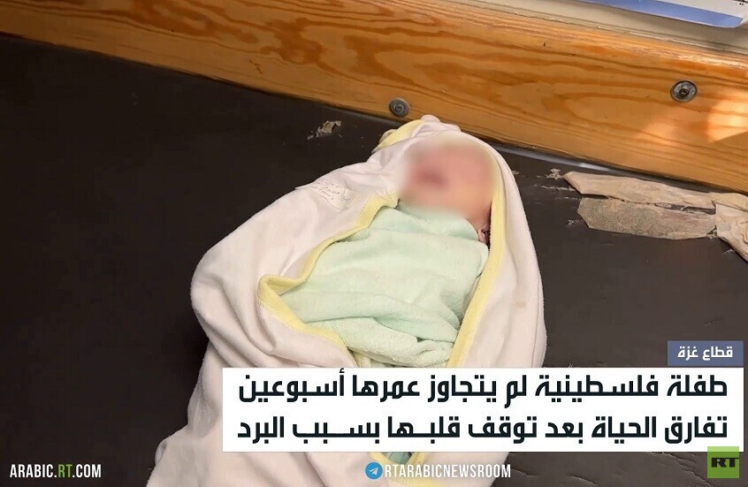 غزة.. أطفال تموت بردا