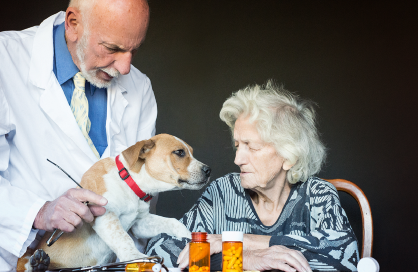 عقار لإطالة عمر الكلاب قد يحمل الأمل في علاج شيخوخة البشر