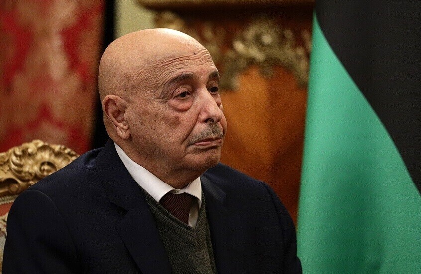 ليبيا.. مجلس النواب يدعو لدعم جهود تحقيق الاستقرار وإلزام الخصوم السياسيين باتفاق وقف إطلاق النار