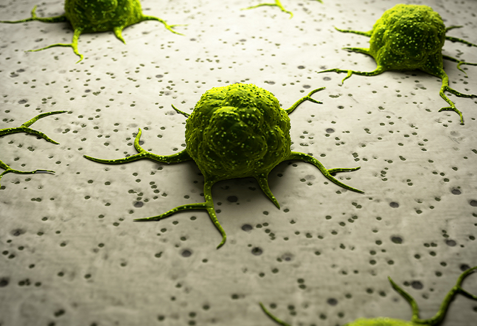 الشيخوخة.. سلاح ذو حدين في محاربة السرطان! - آر تي العربية