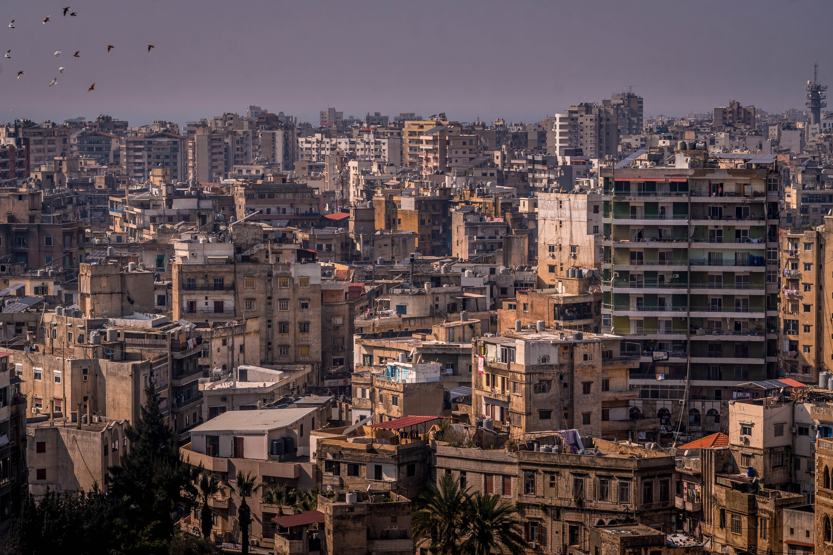 لبنان.. لقطات توثق لحظة انهيار مبنى في طرابلس وعمليات رفع الأنقاض بإنقاذ مفقودين (فيديوهات)