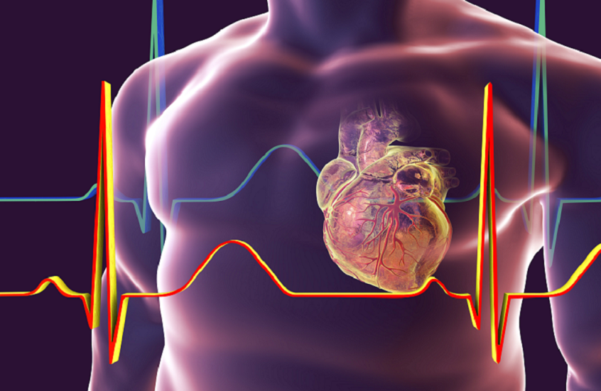 العلماء الروس يطورون جهازا للكشف المبكر عن أمراض القلب
