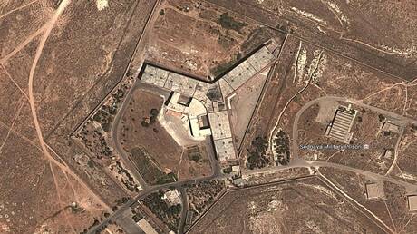 "نيويورك تايمز" عن المسلحين في سوريا: سيطرنا على سجن صيدنايا وحررنا  أسرانا (فيديو)