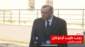 أردوغان: دمشق هدف المعارضة السورية