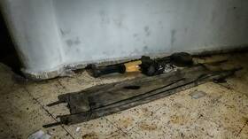 بالأسماء.. RT تحصل على قائمة معتقلين فلسطينيين من الضفة وغزة تم تحريرهم من السجون السورية